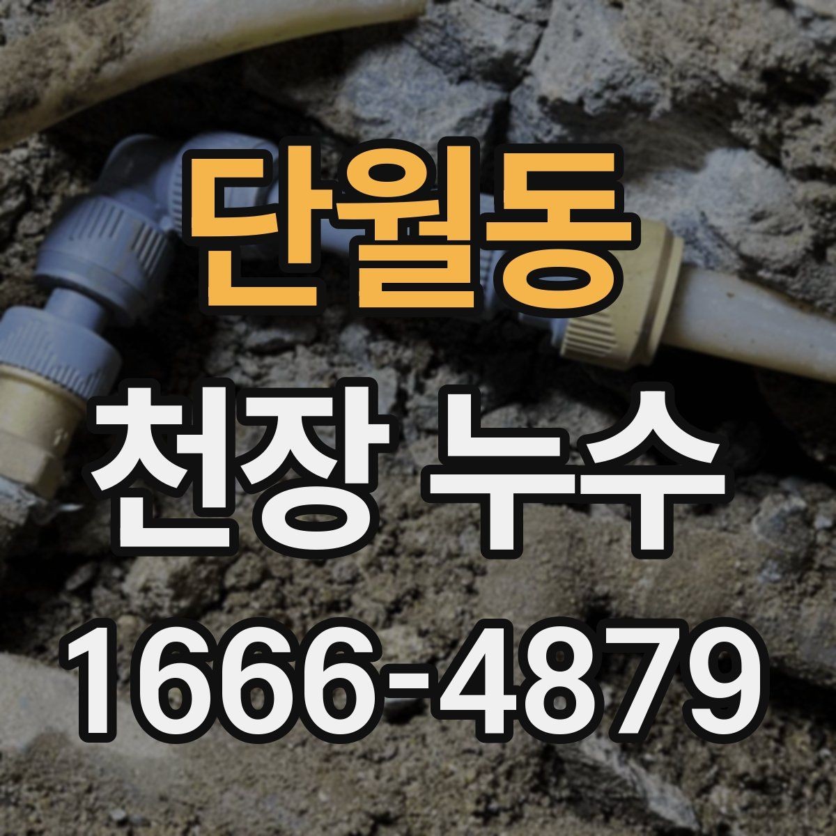 단월동 천장 누수 점검구를 열어도 원인이 안 보일 때