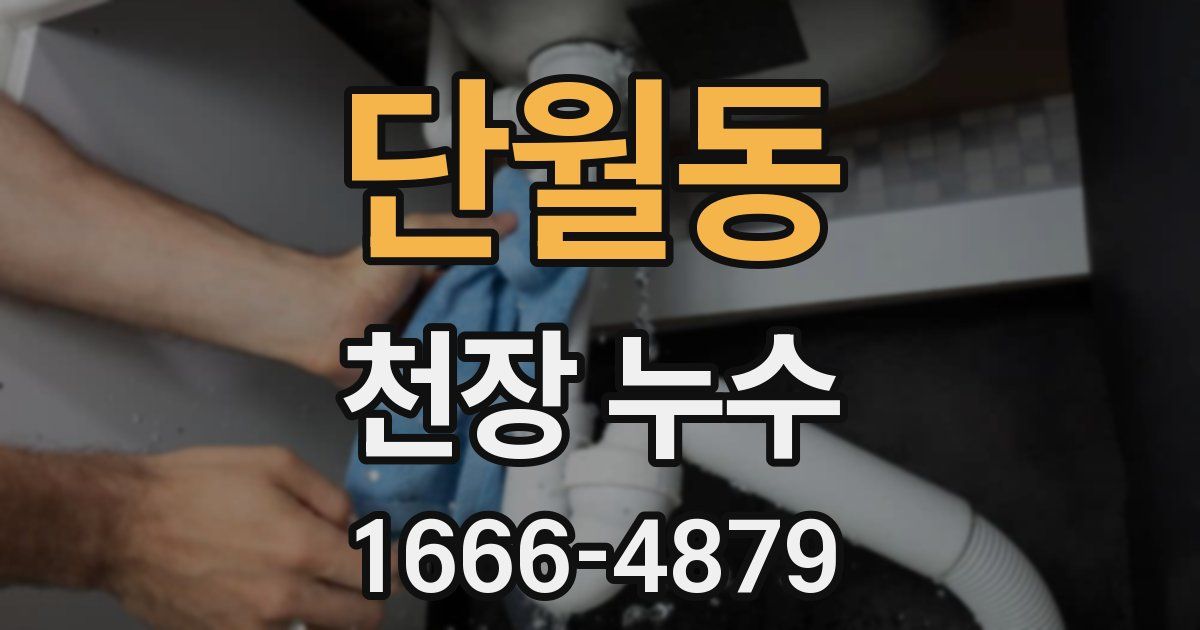 단월동 천장 누수