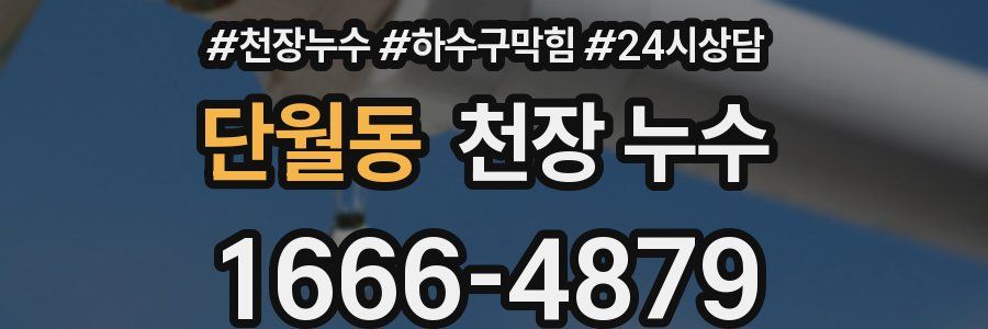 단월동 천장 누수