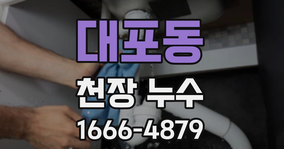 대포동 천장 누수