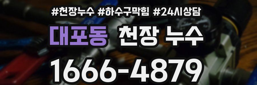 대포동 천장 누수