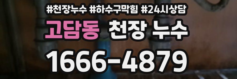 고담동 천장 누수