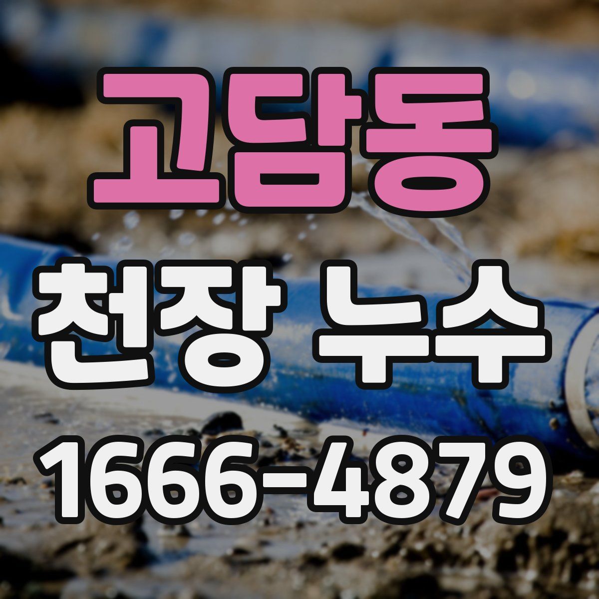 고담동 천장 누수