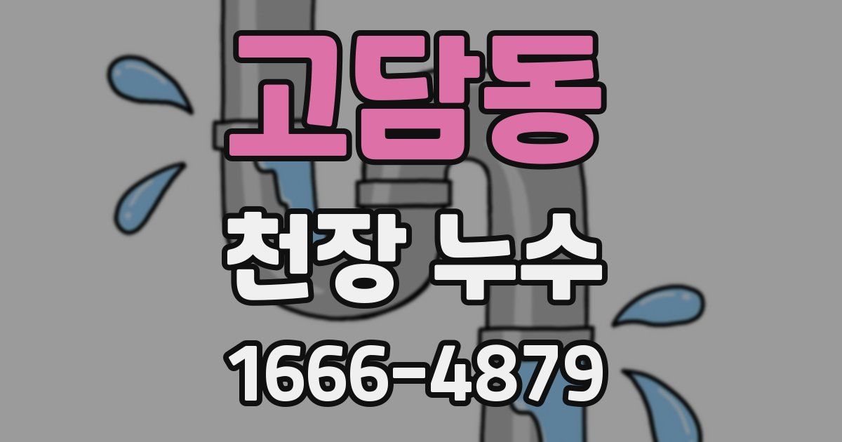 고담동 천장 누수