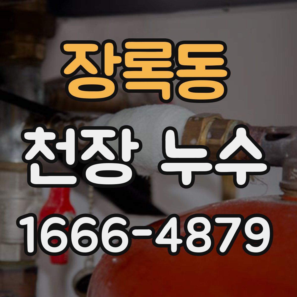 장록동 천장 누수