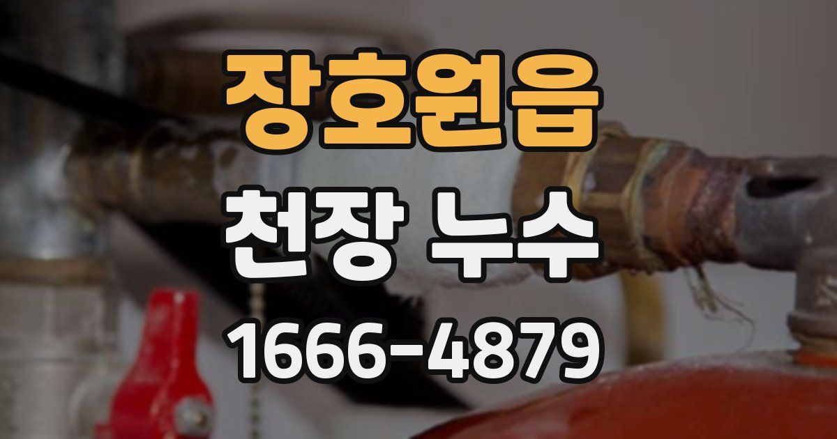 장호원읍 천장 누수