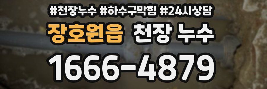 장호원읍 천장 누수