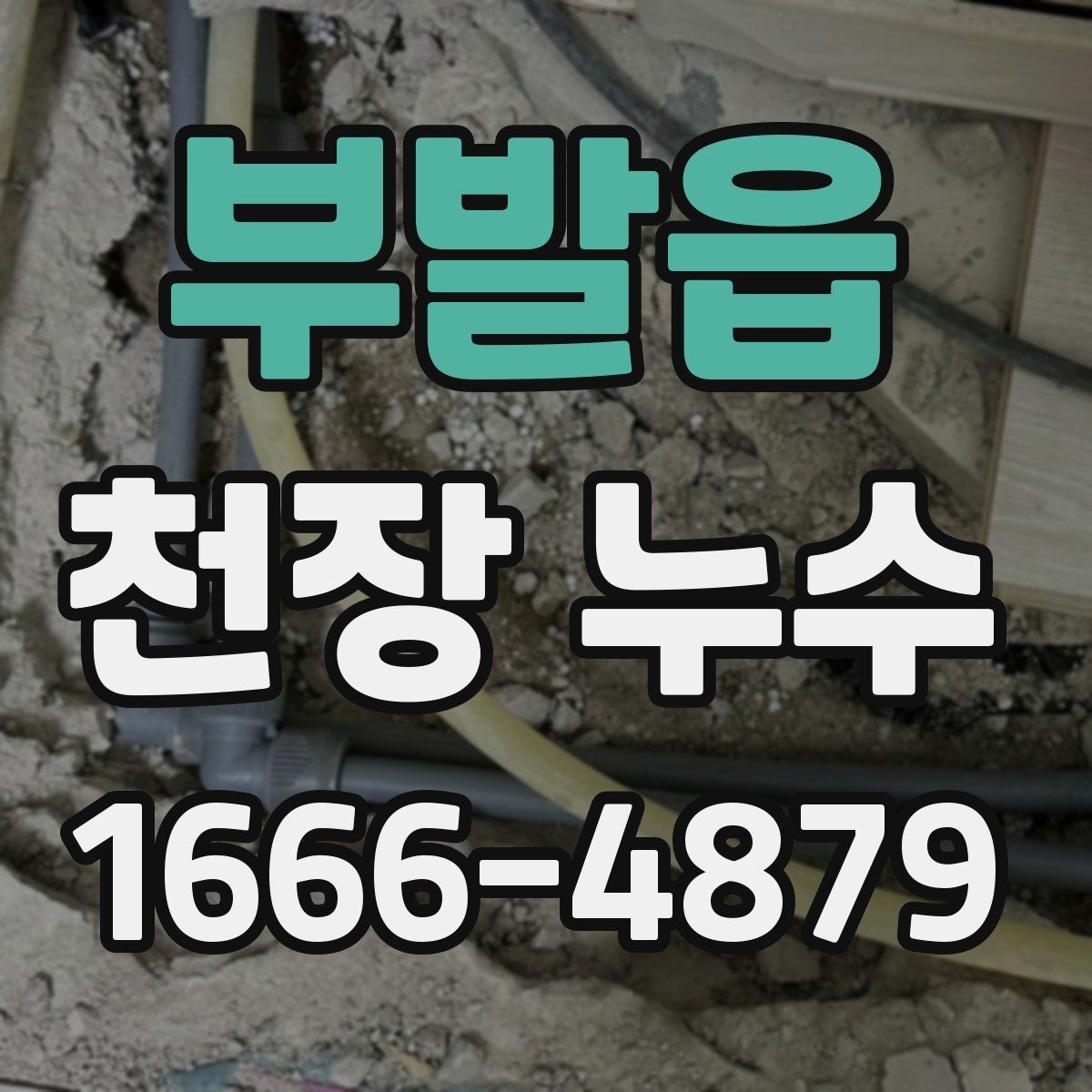 부발읍 천장 누수 결로가 심해도 천장에 물방울이 떨어질까