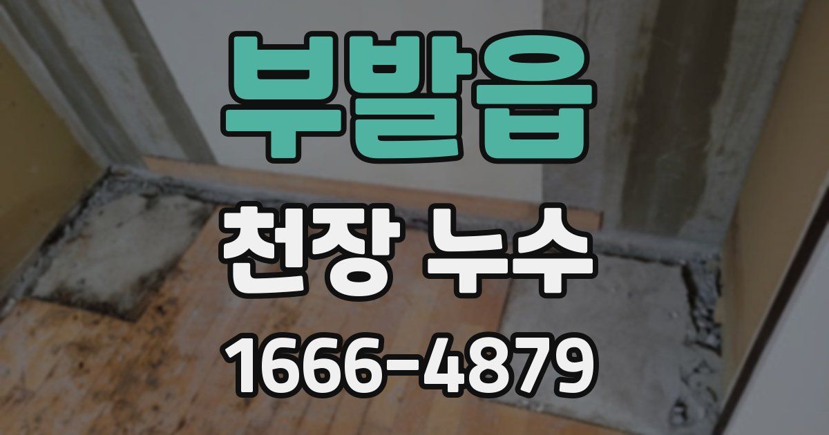 부발읍 천장 누수