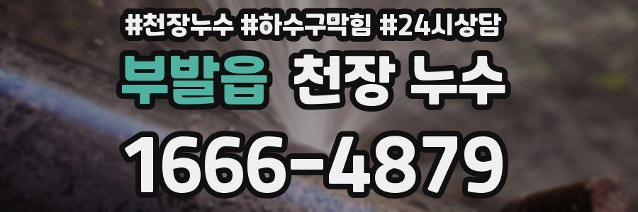 부발읍 천장 누수