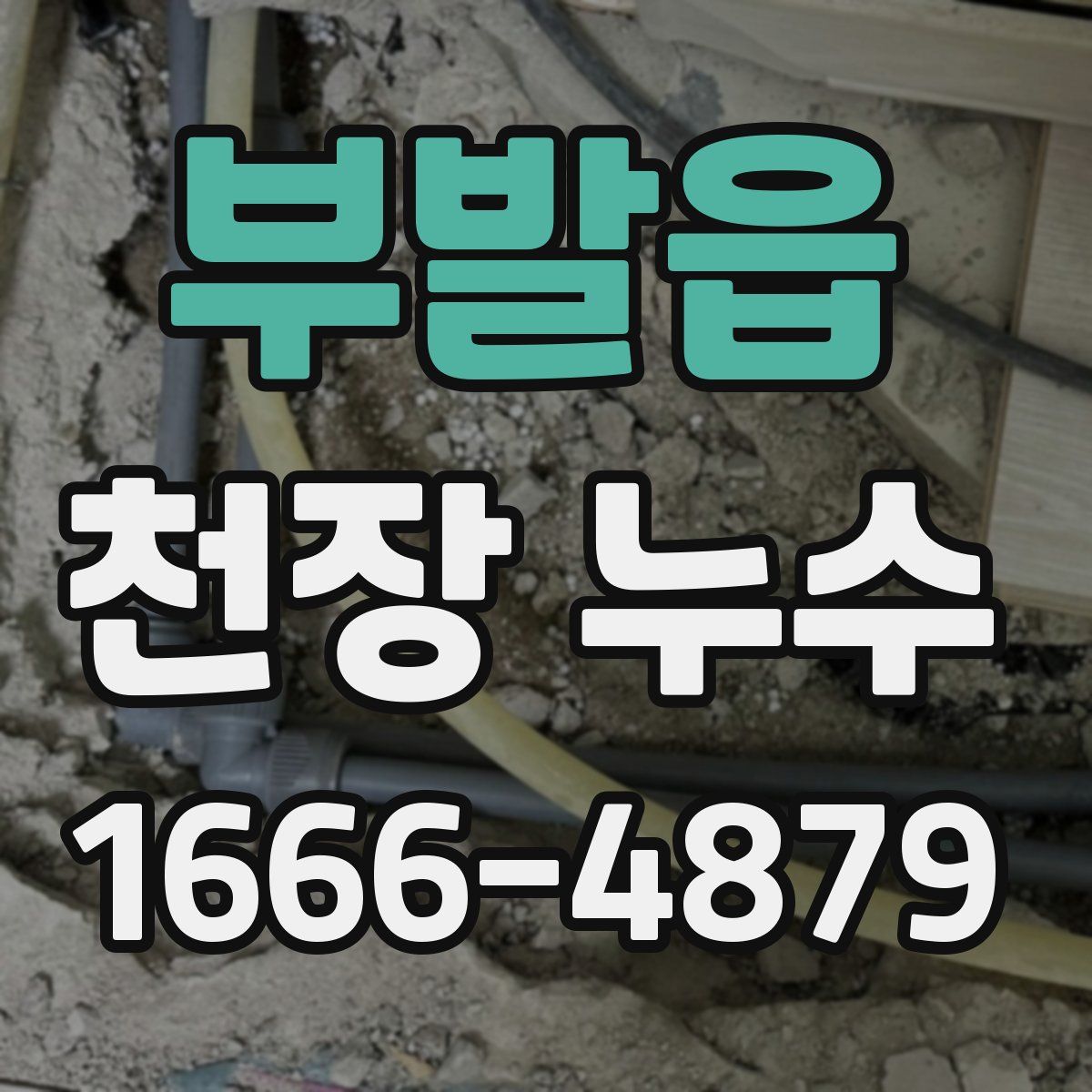 부발읍 천장 누수