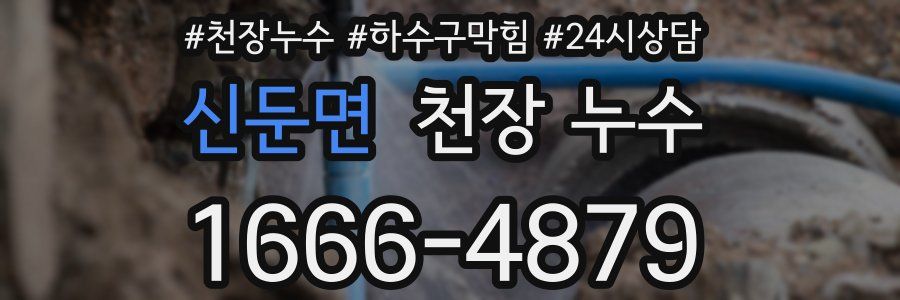 신둔면 천장 누수