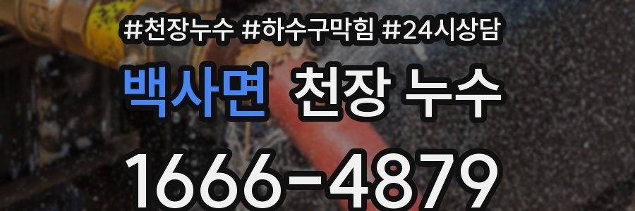 백사면 천장 누수