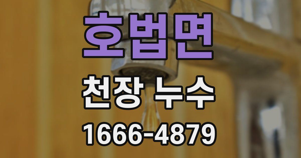 호법면 천장 누수