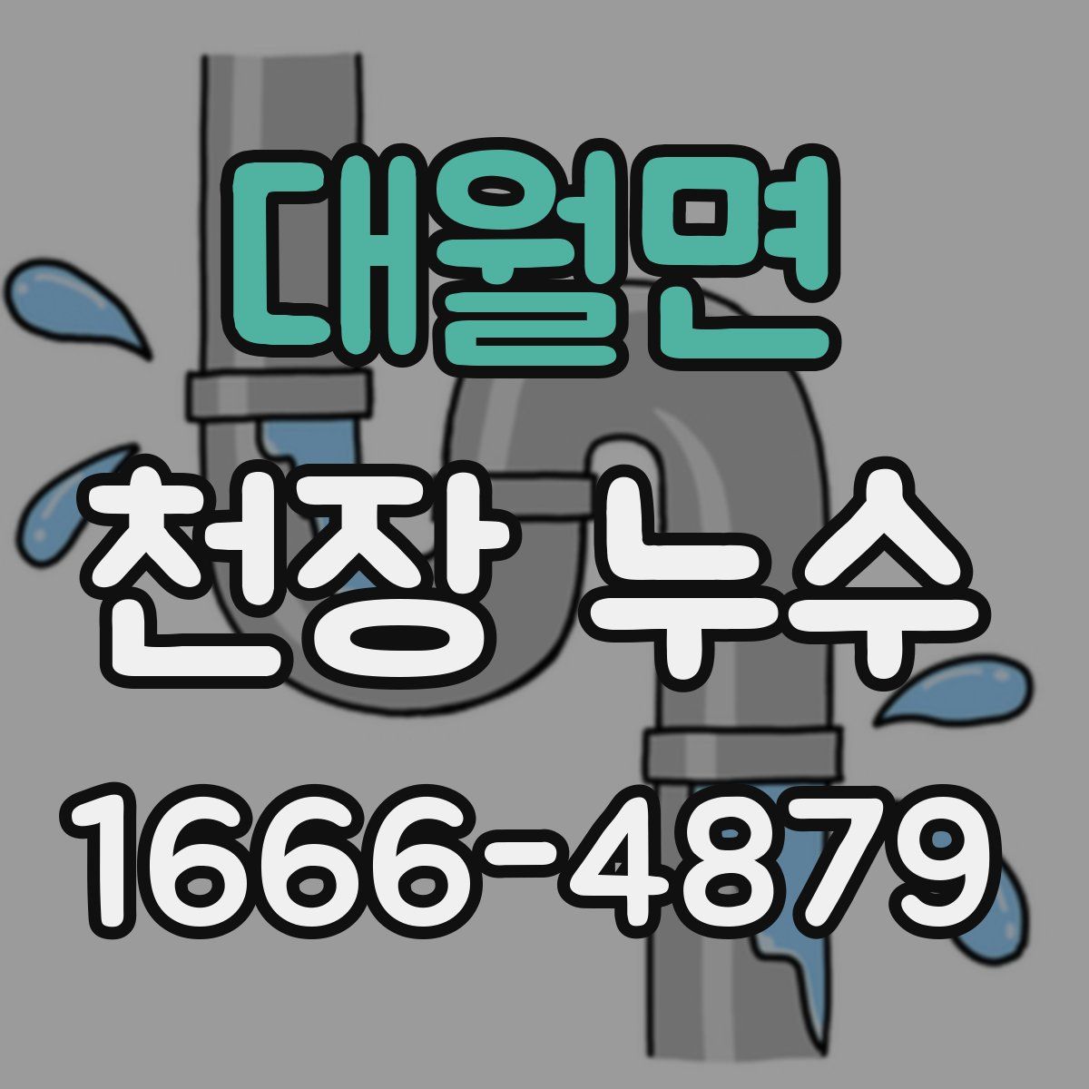 대월면 천장 누수