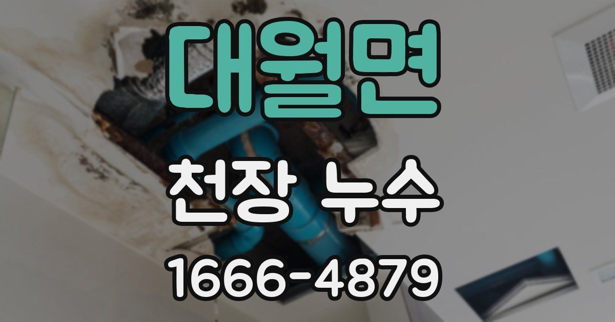 대월면 천장 누수
