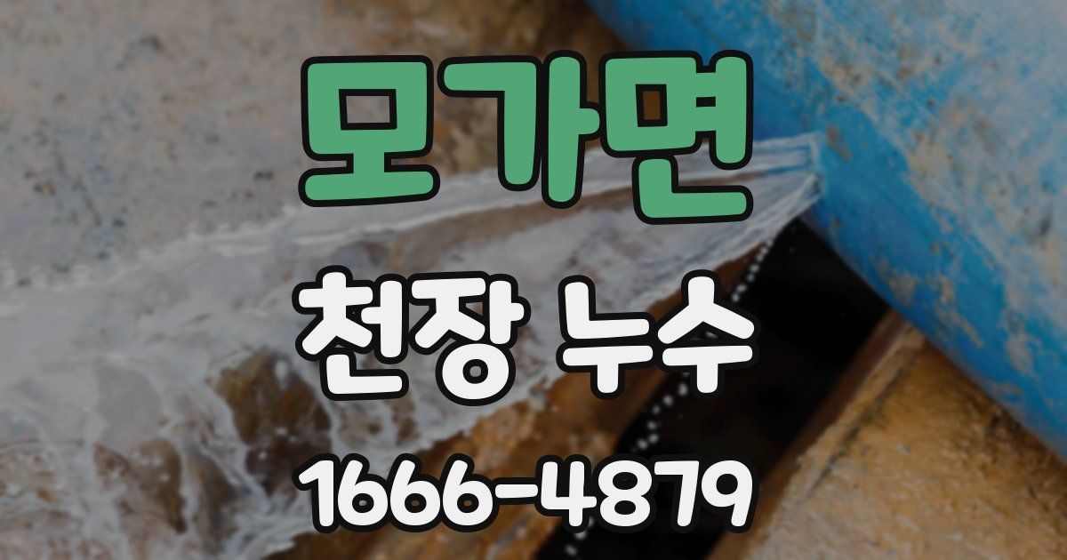 모가면 천장 누수