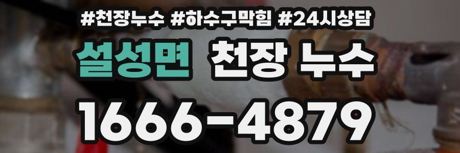 설성면 천장 누수