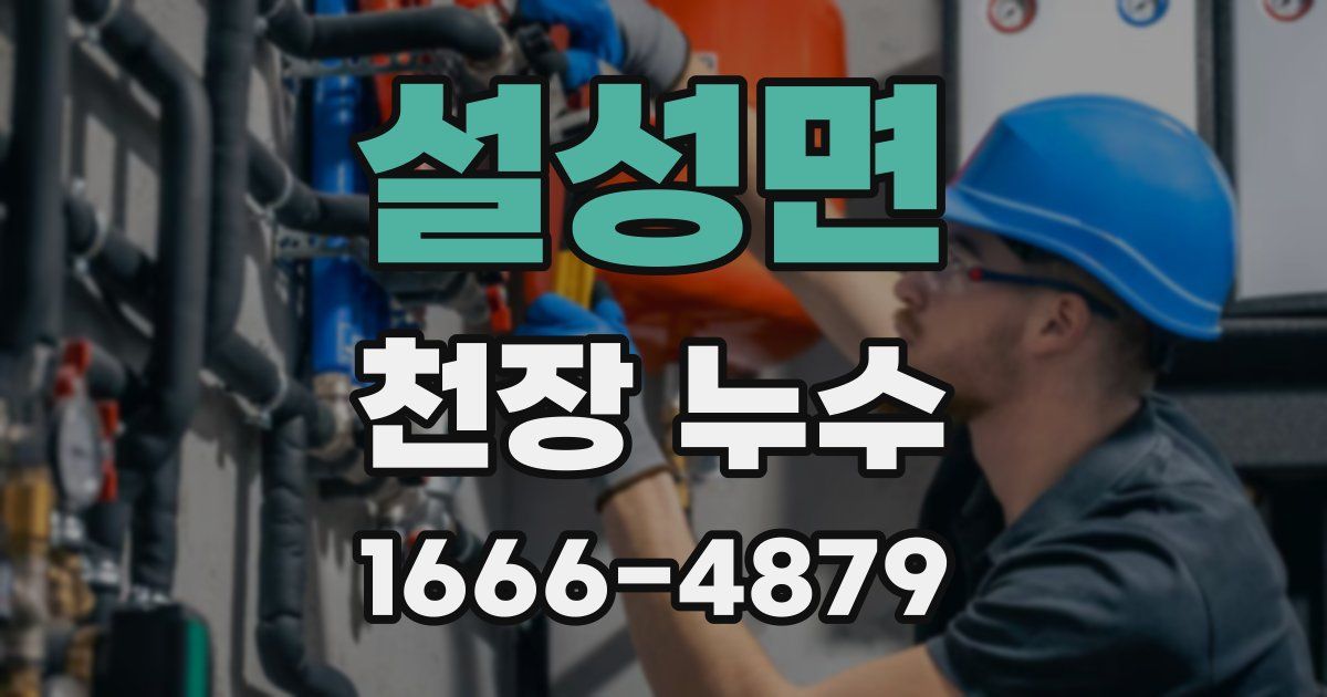 설성면 천장 누수