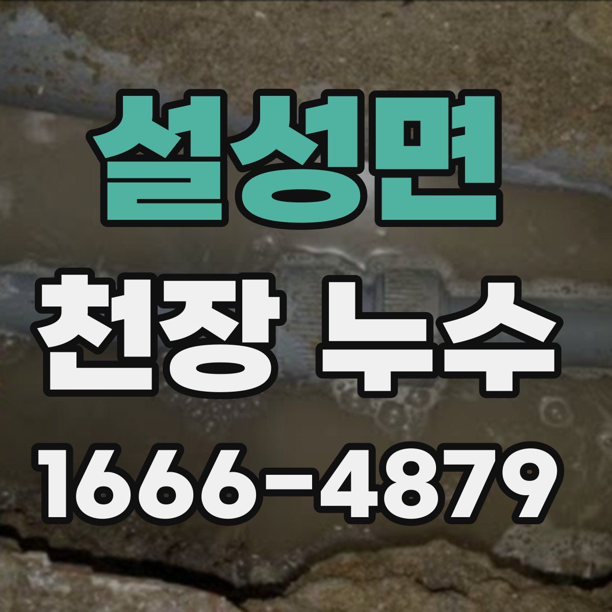 설성면 천장 누수