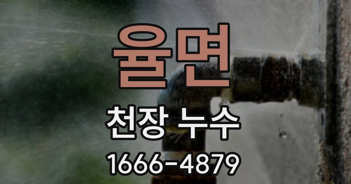 율면 천장 누수