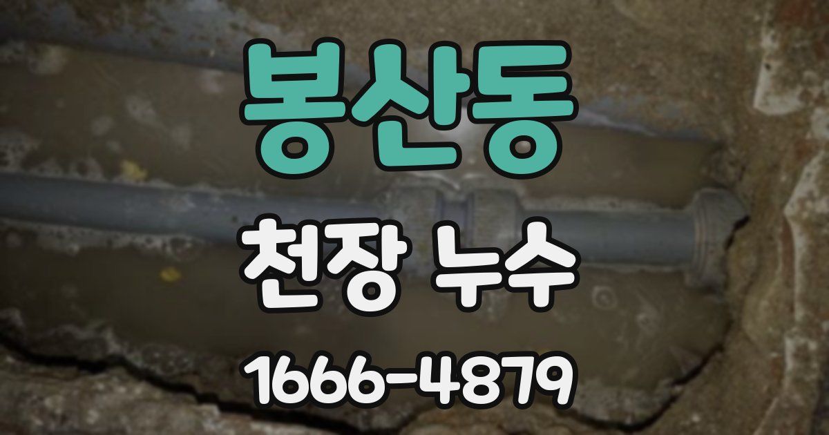 봉산동 천장 누수