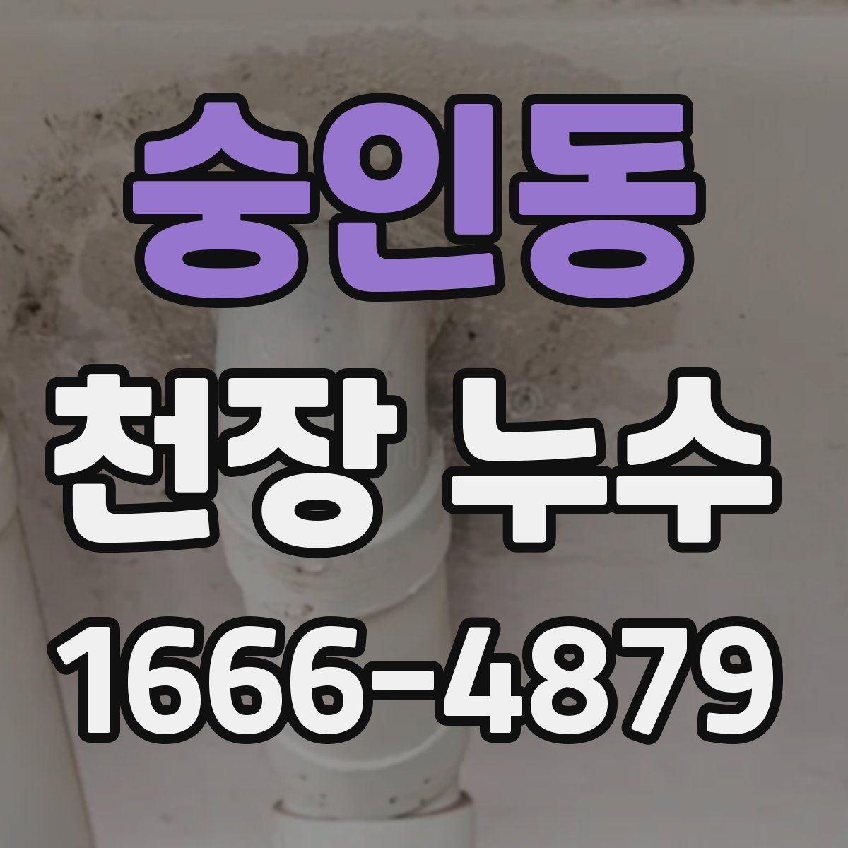 숭인동 천장 누수 천장 틈새로 물이 스며드는 상황 정리
