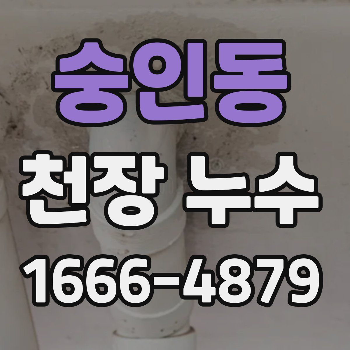 숭인동 천장 누수