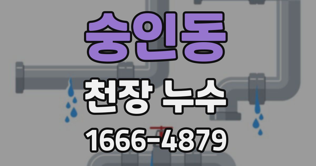 숭인동 천장 누수