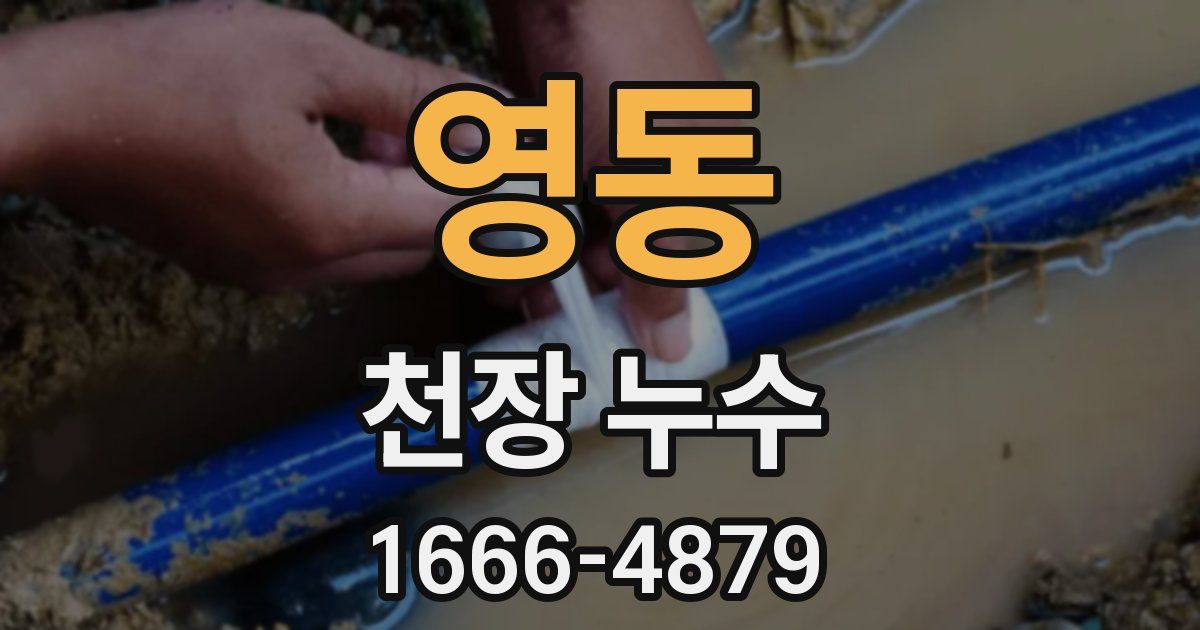 영동 천장 누수