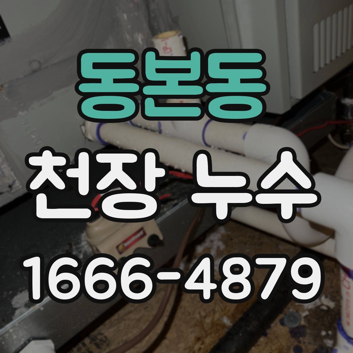 동본동 천장 누수