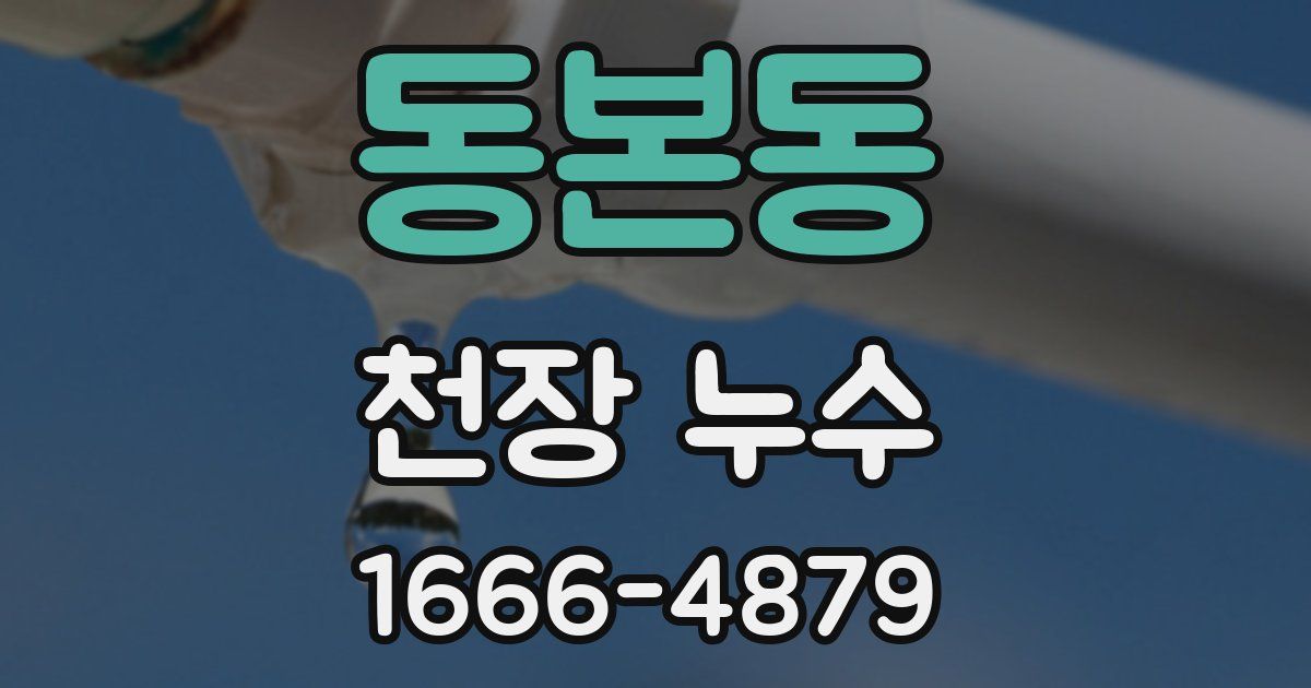 동본동 천장 누수