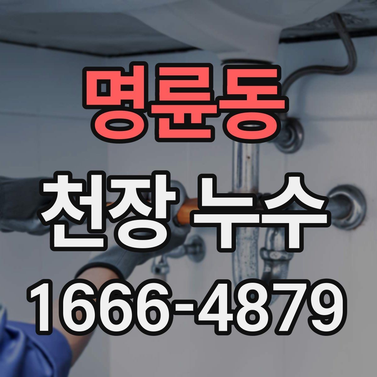 명륜동 천장 누수 욕실 줄눈 문제로 천장이 젖는 경우
