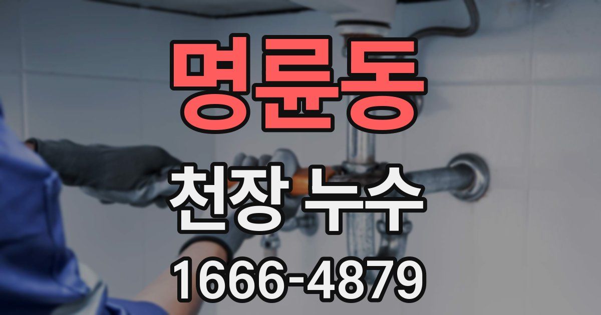 명륜동 천장 누수