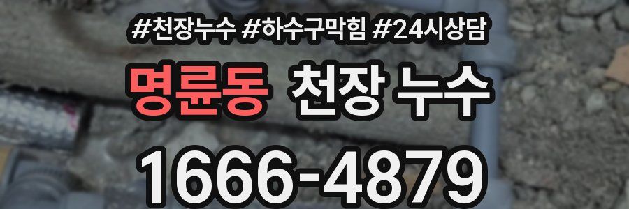 명륜동 천장 누수