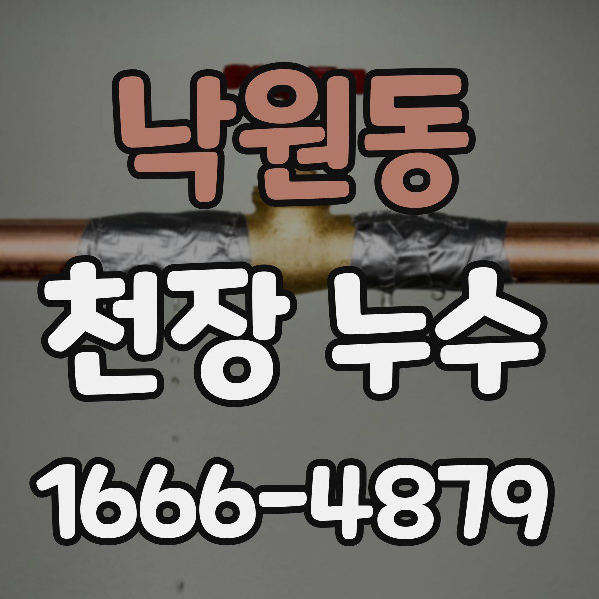 낙원동 천장 누수