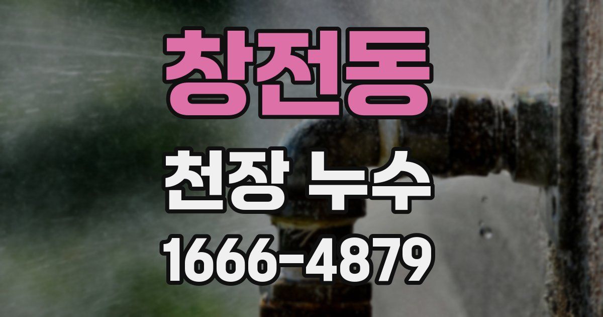 창전동 천장 누수