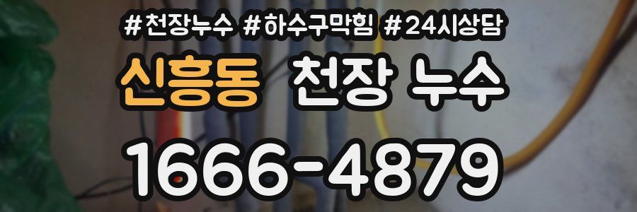 신흥동 천장 누수