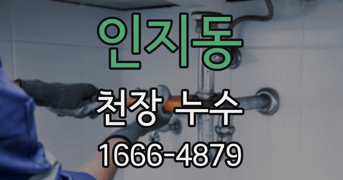 인지동 천장 누수