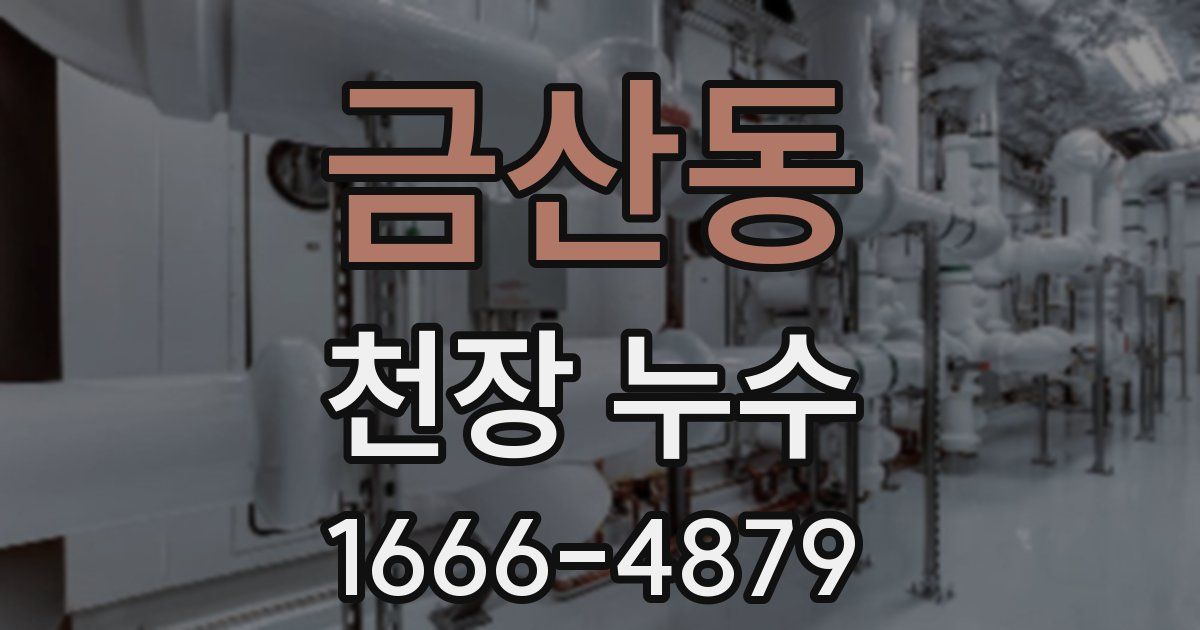 금산동 천장 누수