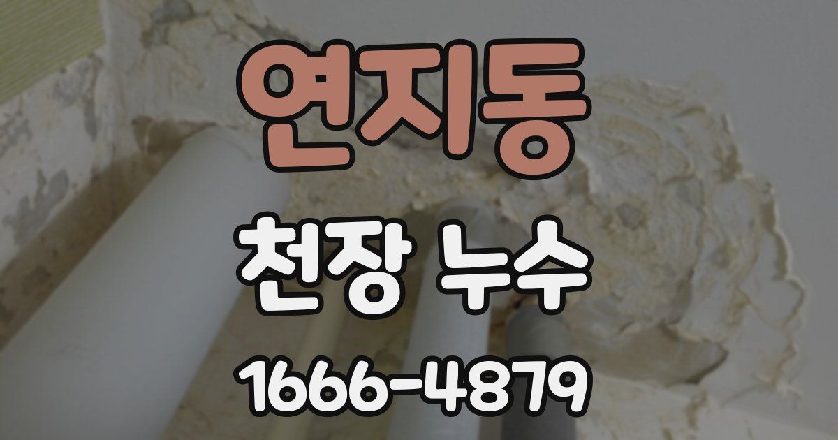 연지동 천장 누수