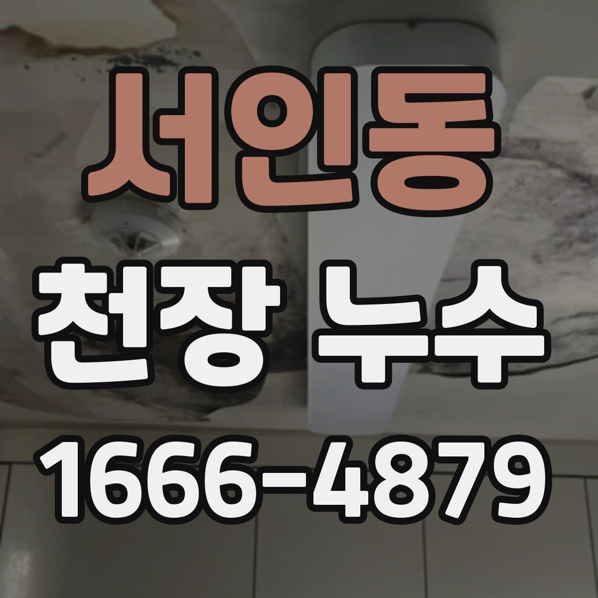 서인동 천장 누수 위층 샤워 시간과 누수 발생이 겹치면