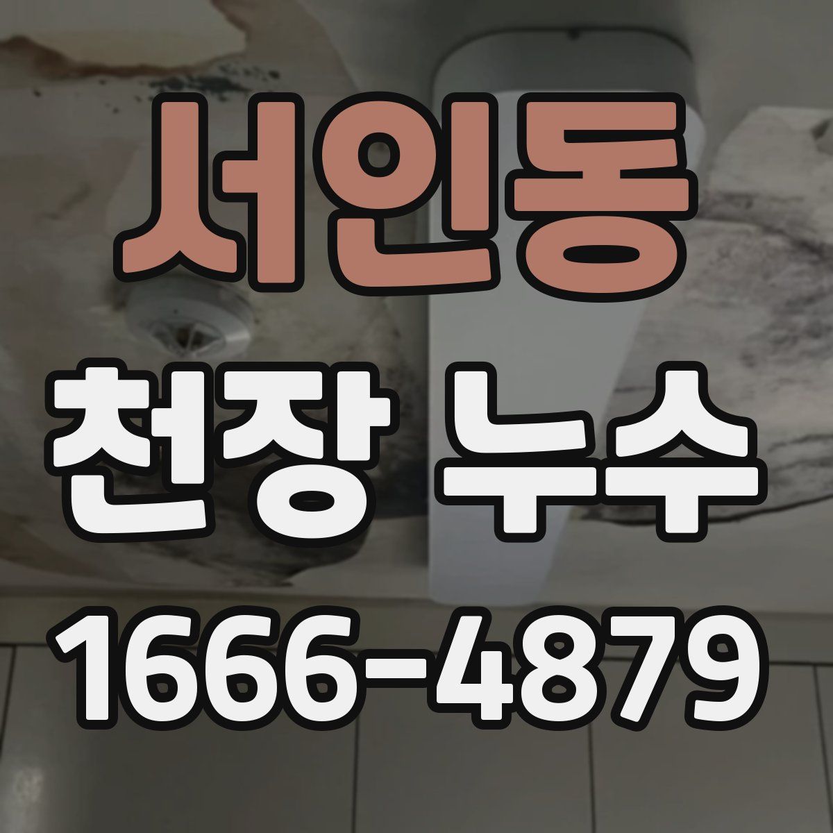 서인동 천장 누수