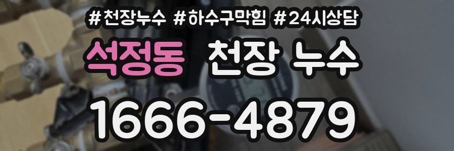 석정동 천장 누수