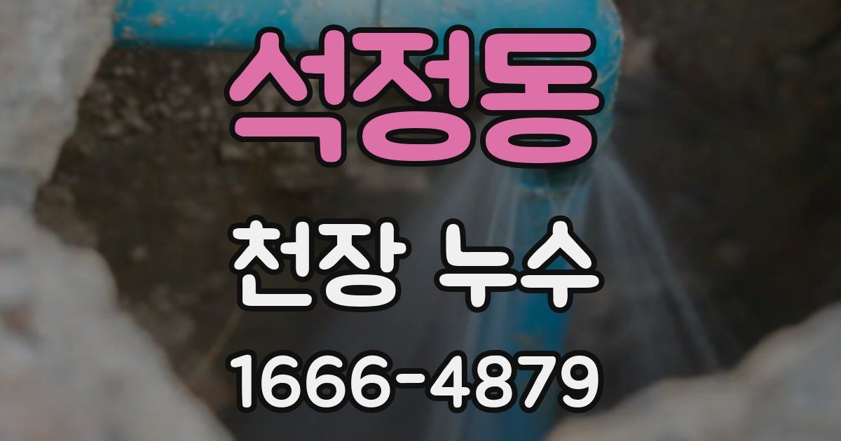 석정동 천장 누수