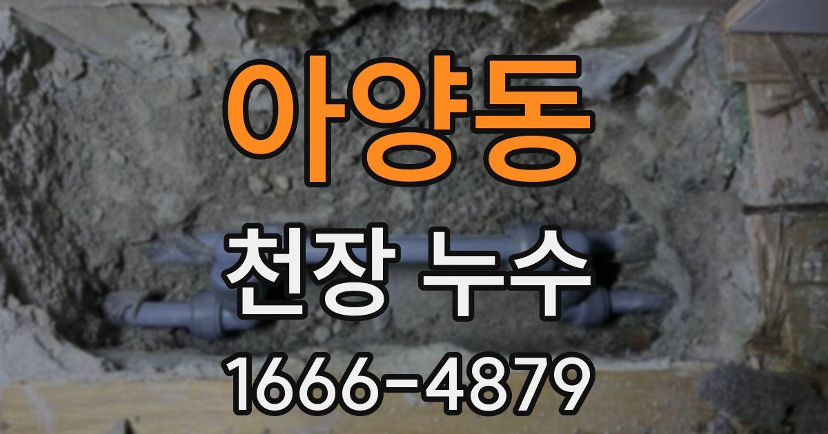 아양동 천장 누수