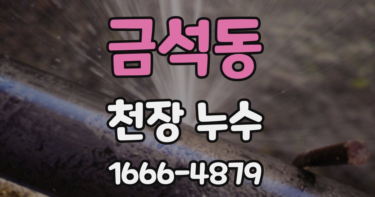 금석동 천장 누수