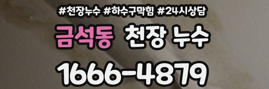 금석동 천장 누수