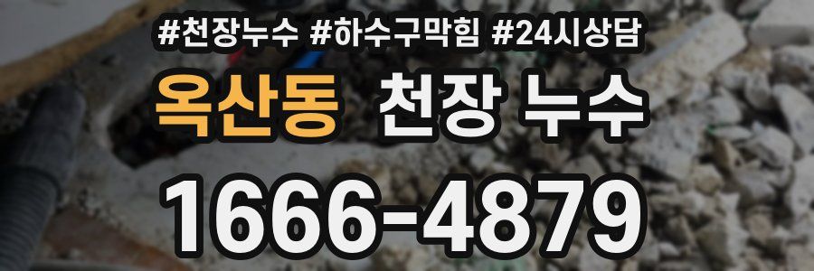 옥산동 천장 누수