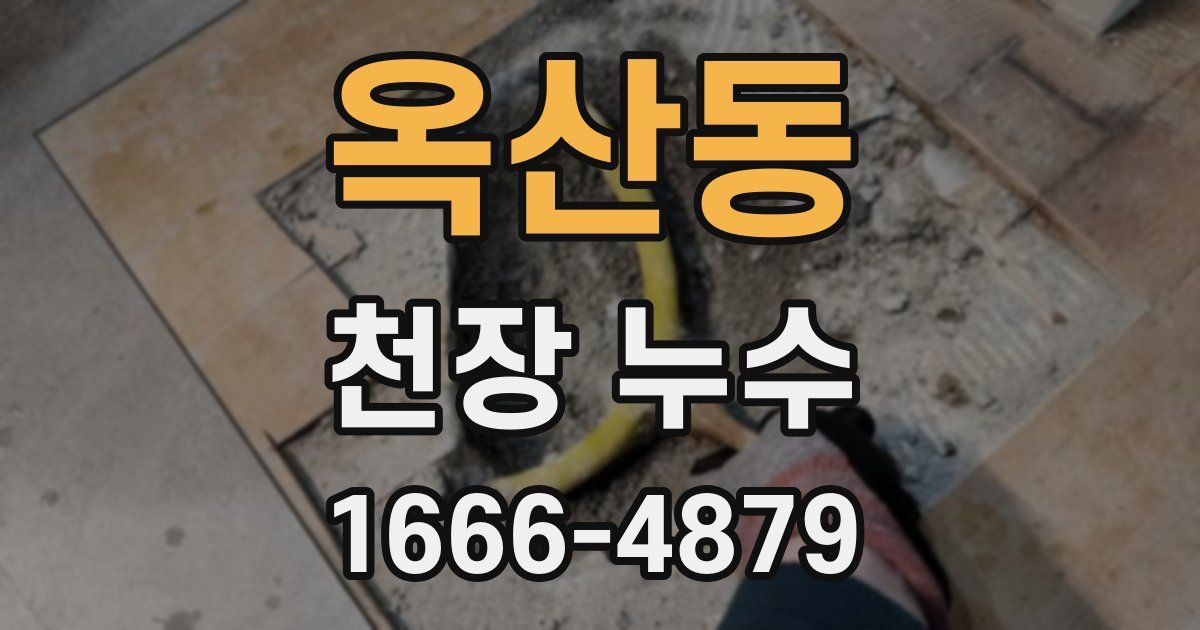 옥산동 천장 누수